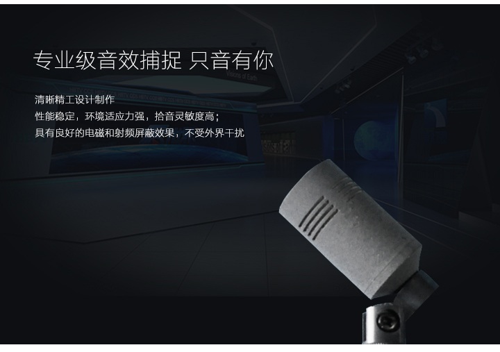 專業(yè)級音效捕捉，只音有你